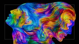 A portrait of a woman with colorful hair.