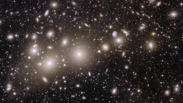 Euclid perseus cluster